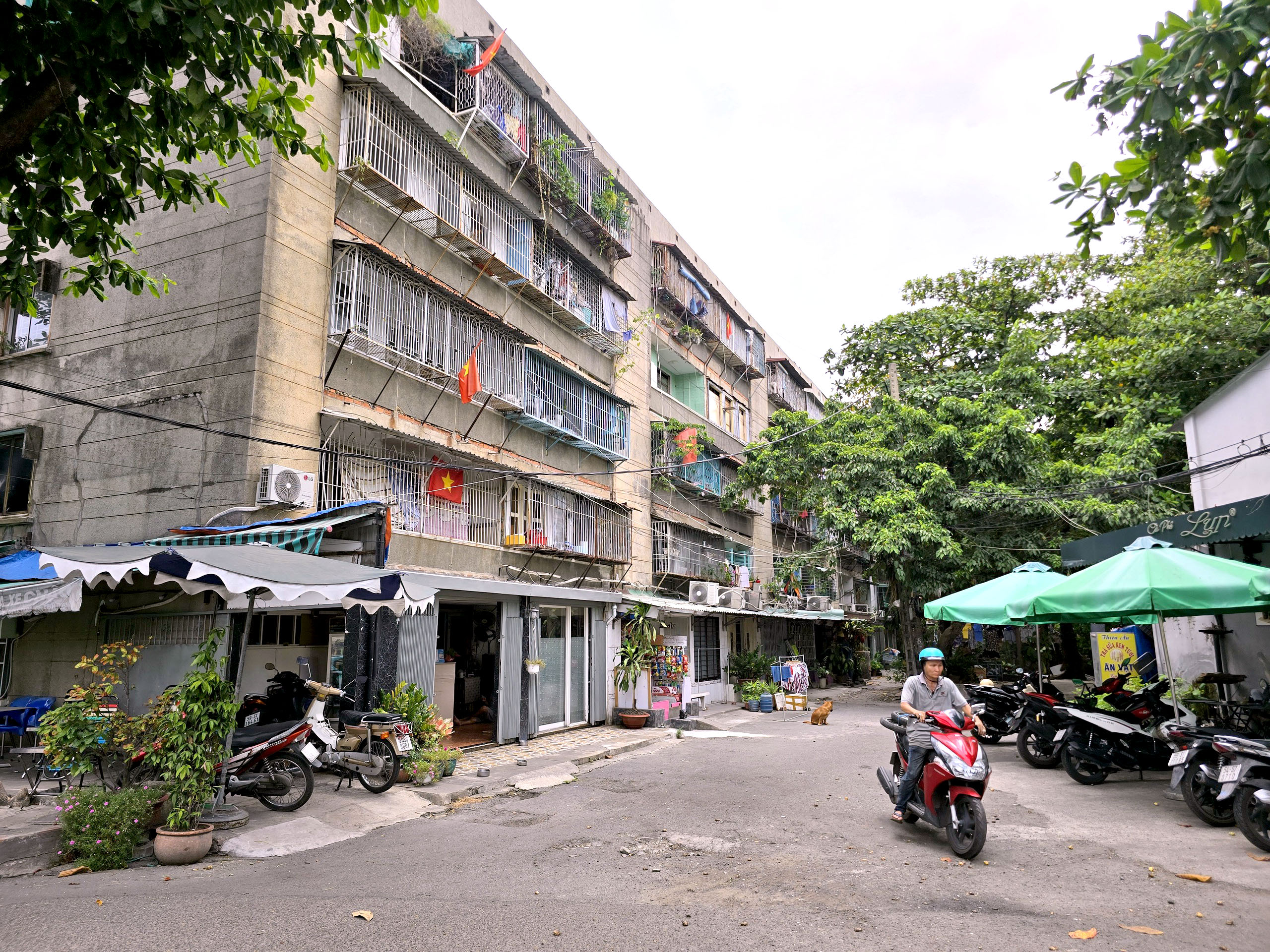 UBND TP.HCM 'thúc' hoàn thành kiểm định chung cư cũ cuối tháng 7-2026 - Ảnh 2.