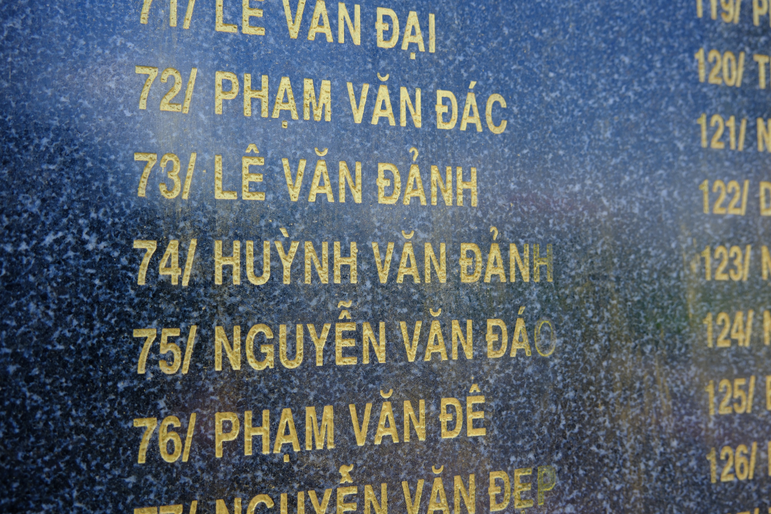 - Ảnh 7.