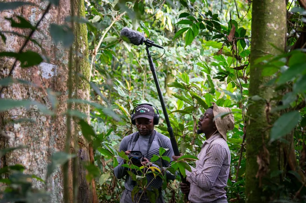 Phát hiện loài khỉ mới có đôi môi màu cam trong rừng mưa Congo - Ảnh 2.