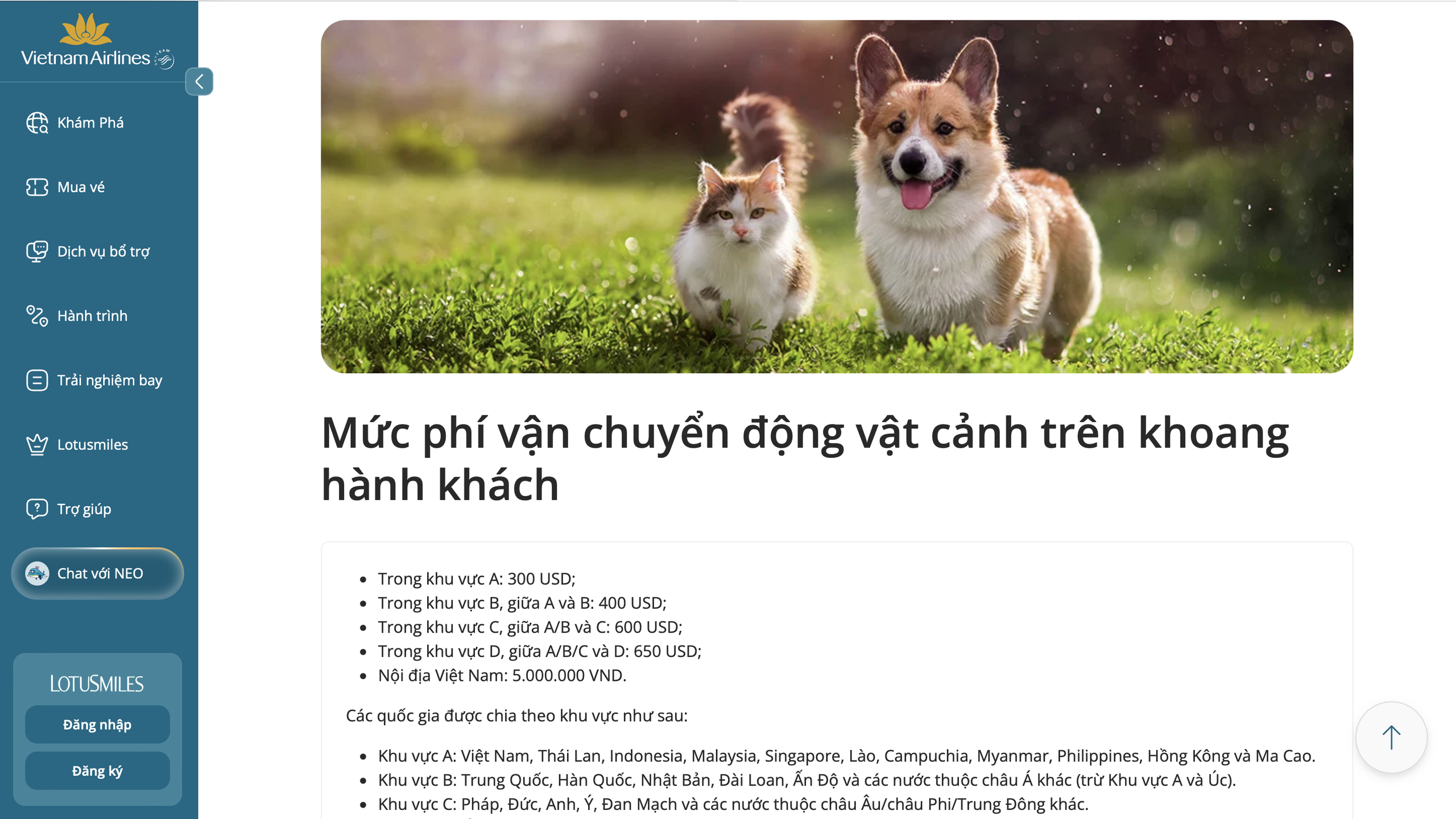 IATA ra hướng dẫn mới, hãng Việt thu phí thú cưng ra sao? - Ảnh 1.