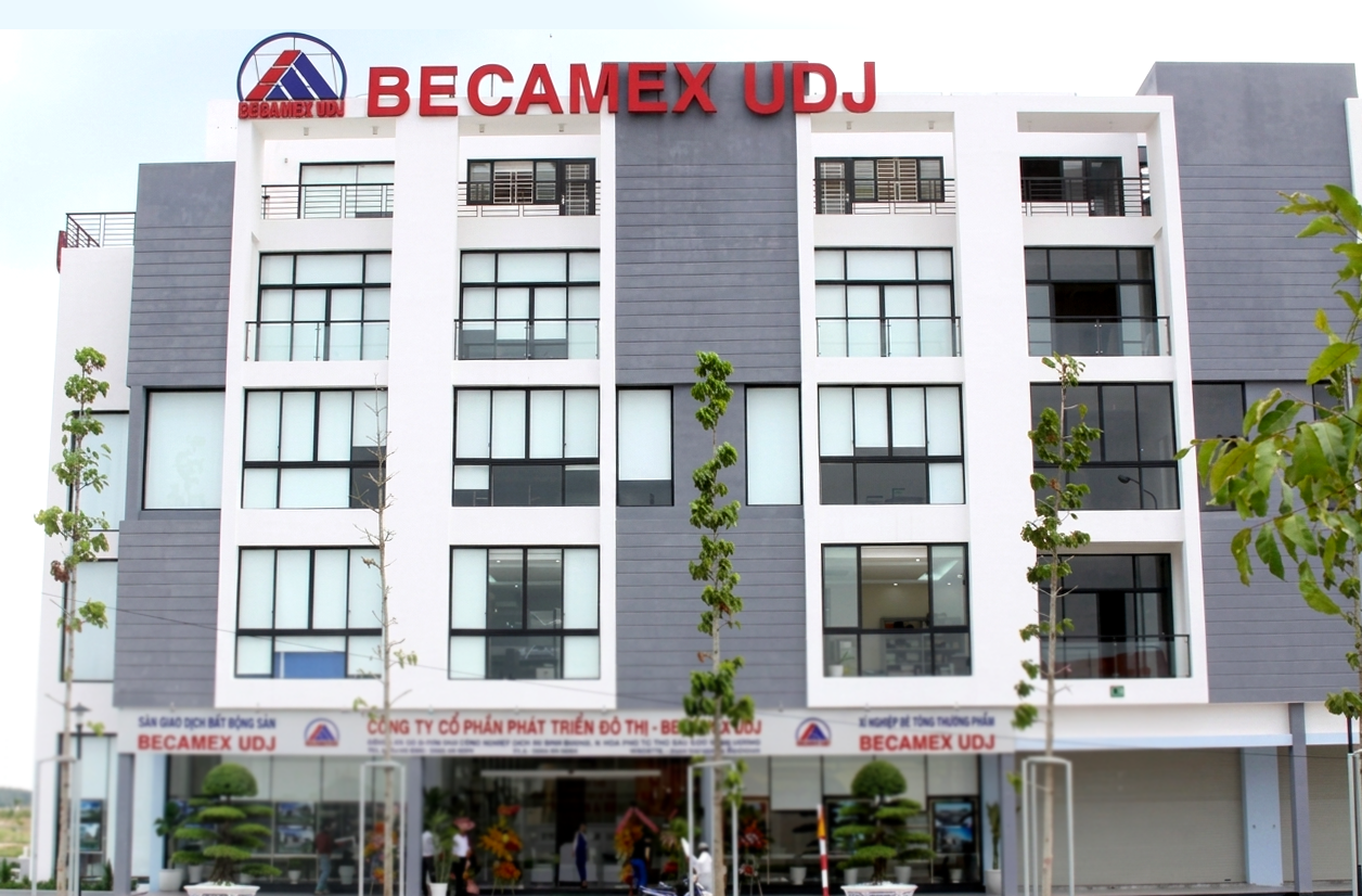 Một công ty bất động sản vốn trăm tỉ ở TP.HCM: 14 nhân sự, doanh thu vỏn vẹn 1 triệu đồng/tháng - Ảnh 2.