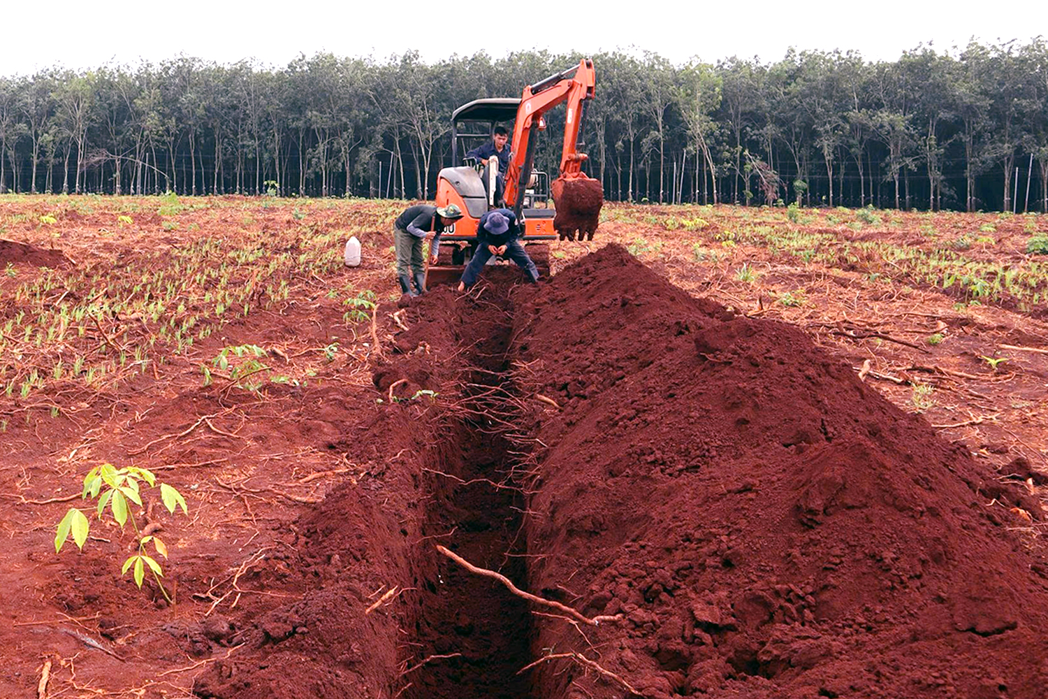 Phát hiện nhiều di vật liệt sĩ trong khu hố chôn tập thể tại Đồng Nai - Ảnh 9.