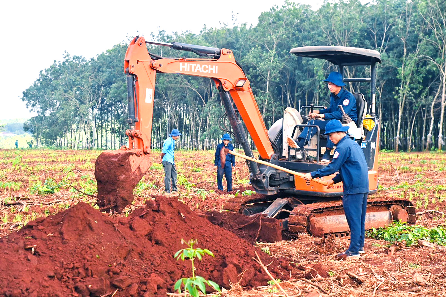 Phát hiện nhiều di vật liệt sĩ trong khu hố chôn tập thể tại Đồng Nai - Ảnh 6.