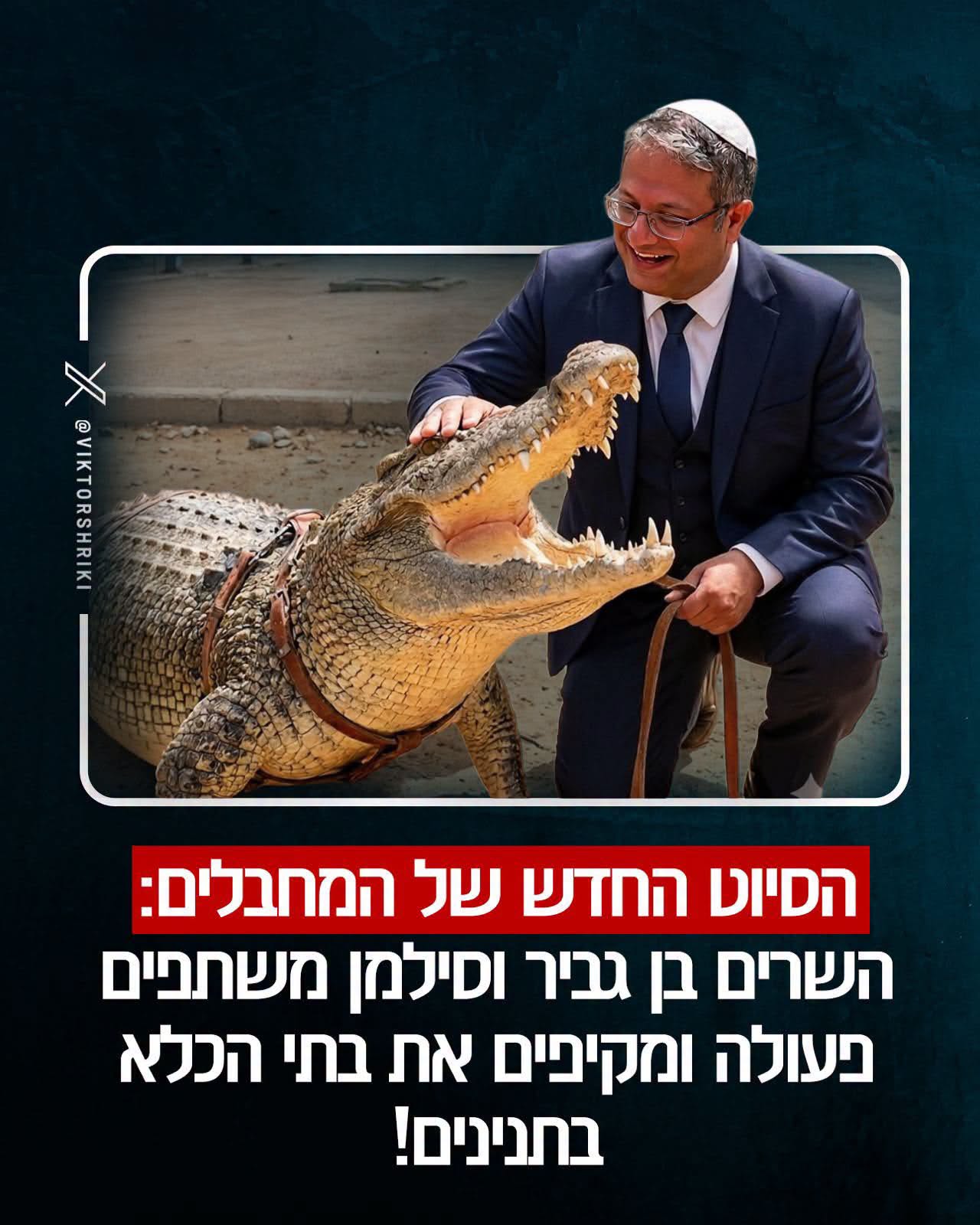 Israel sửa luật, tính dùng cá sấu canh giữ tù nhân - Ảnh 1.