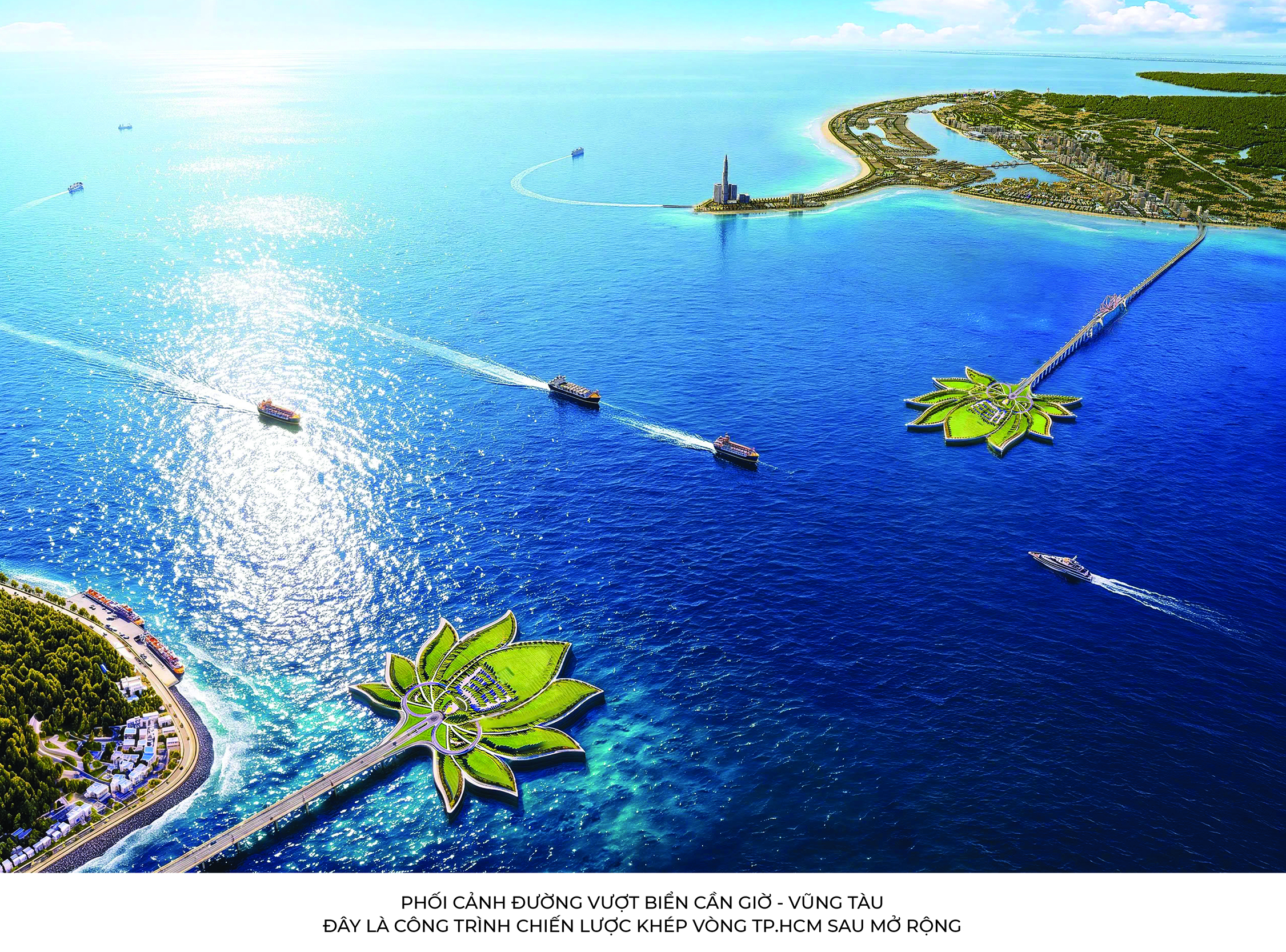 - Ảnh 4.