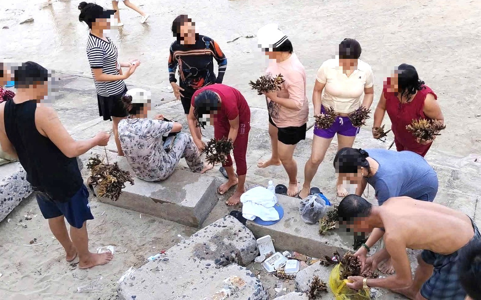 Vietnam’s Khanh Hoa tightens coral reef protection, vows strict action against marine ecosystem damage - Ảnh 1.