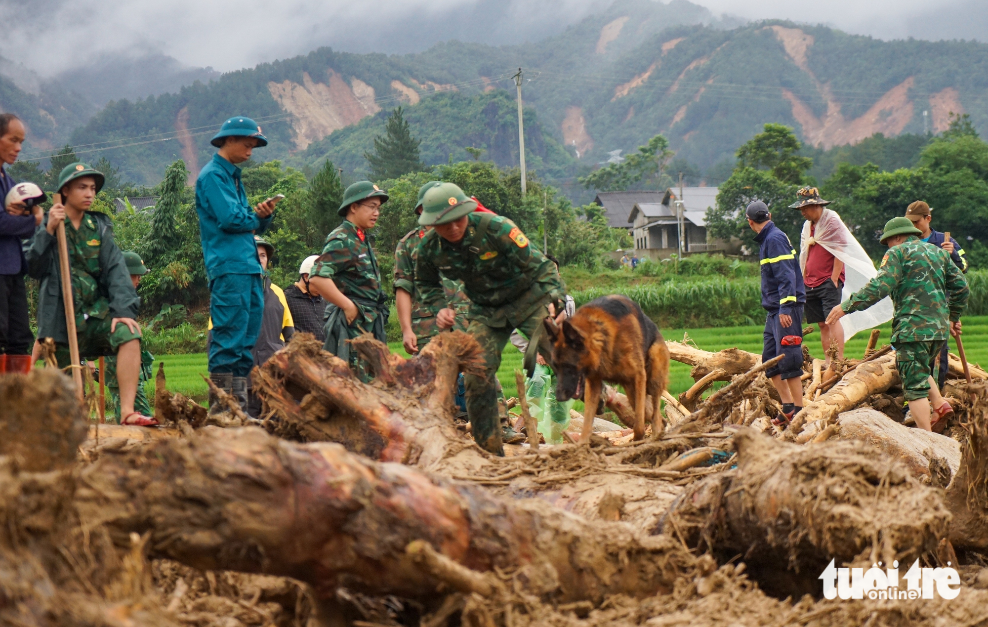 Chó nghiệp vụ bị thương vẫn dầm bùn tìm kiếm người mất tích vì lũ quét ở Lai Châu - Ảnh 3.