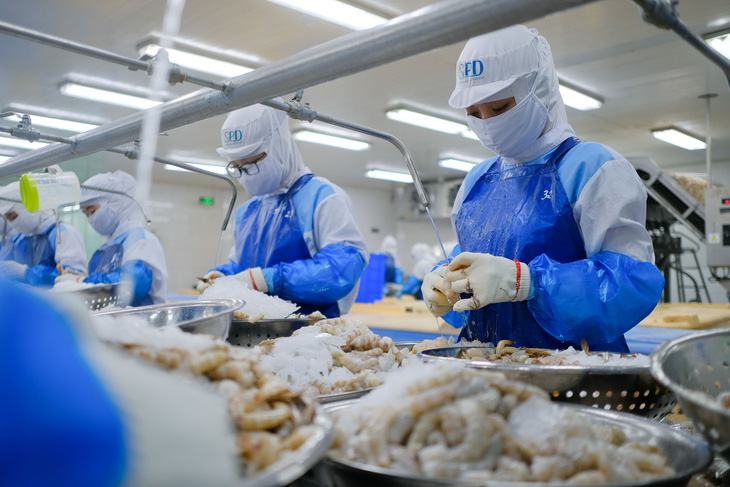 Xuất khẩu tôm vượt 2,3 tỉ USD - Ảnh 1.