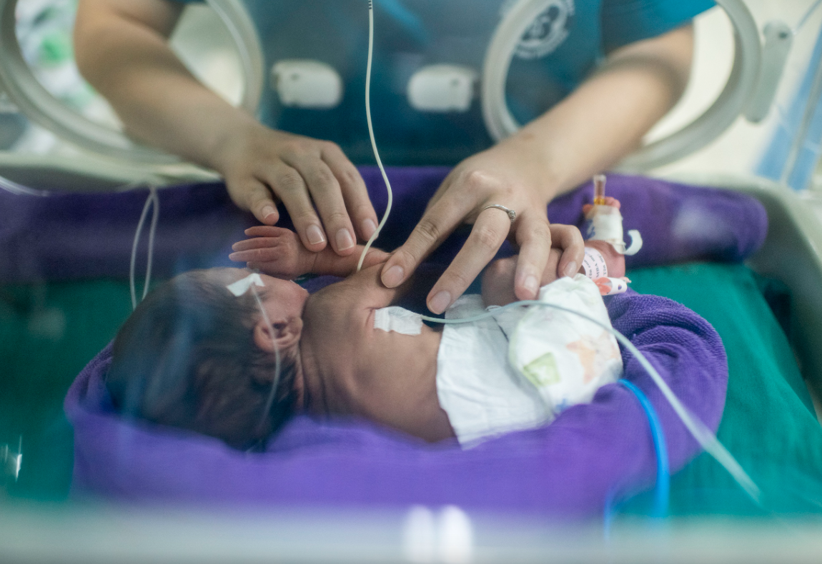 Úc phát triển nhau thai nhân tạo, mở hy vọng mới cho trẻ sinh non - Ảnh 1.