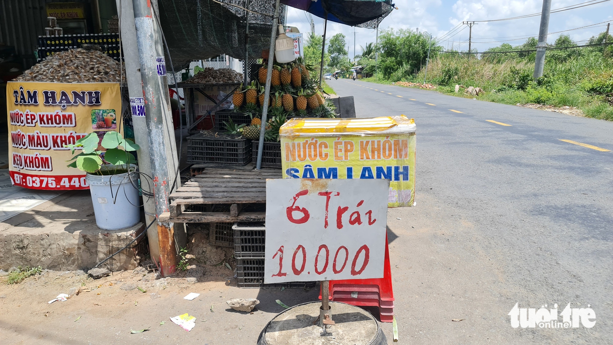 Giá khóm Đồng Tháp tăng cao 2026 nhưng vẫn có khóm 10 . 000 Đồng , lý do gì phía sau? - Ảnh 3.