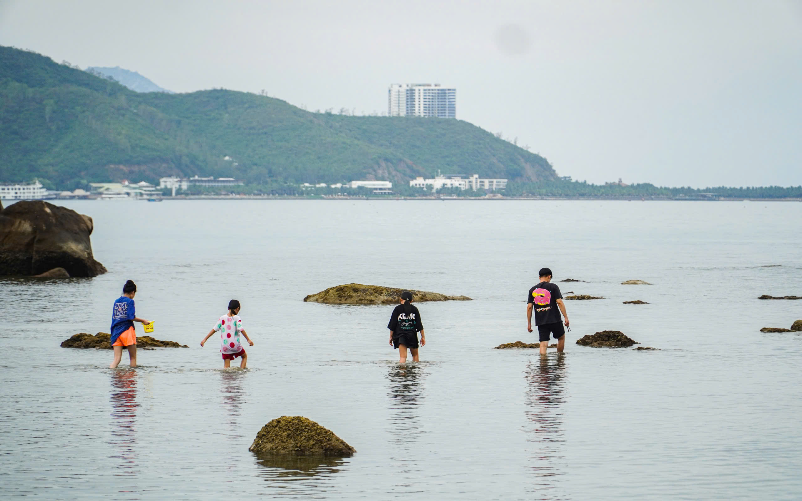Cận cảnh 'rừng san hô' ven bờ ở Hòn Chồng - Nha Trang - Ảnh 6.