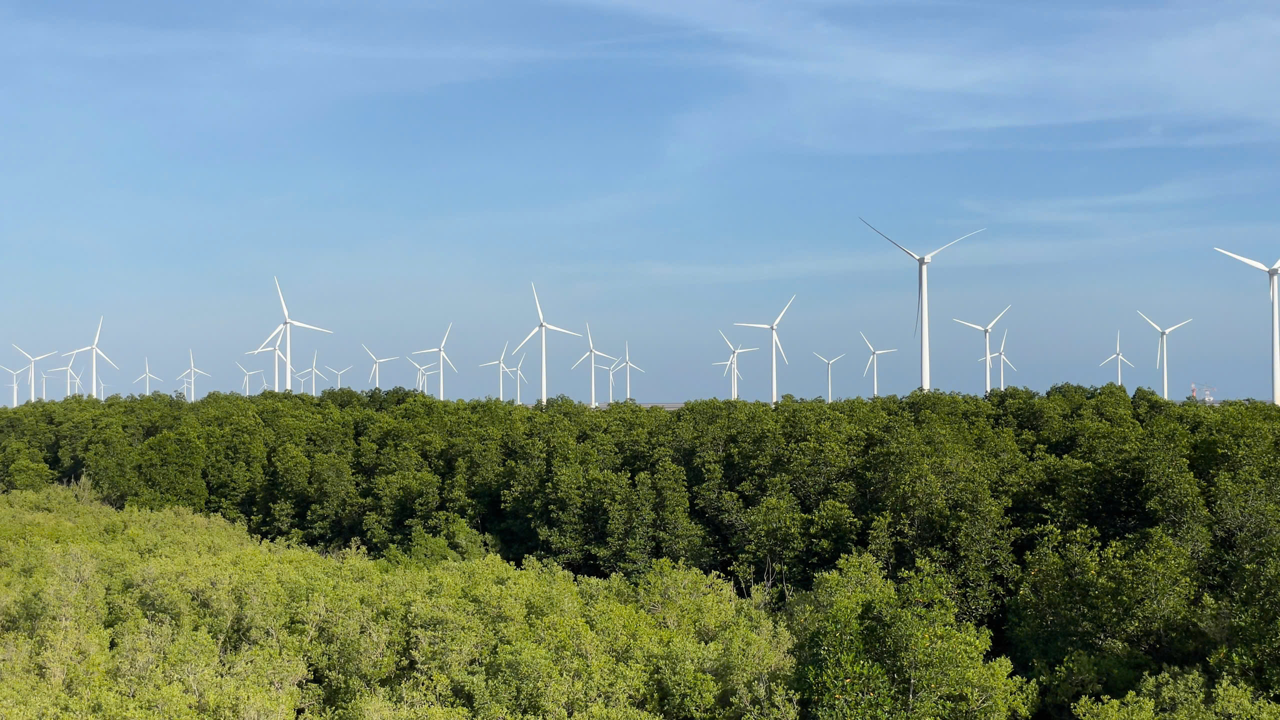 Chấp thuận chủ trương đầu tư dự án đường dây 500kV LNG Bạc Liêu - Thốt Nốt - Ảnh 1.