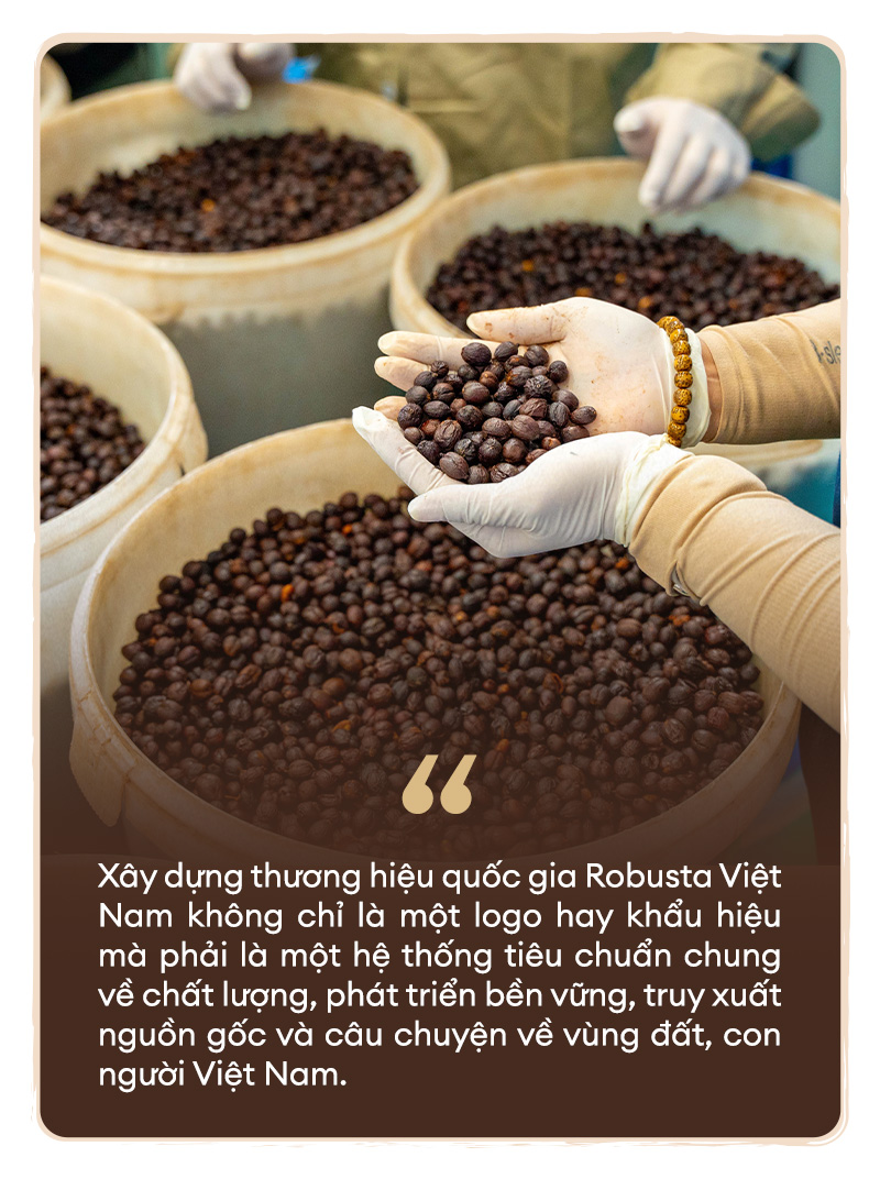 Từ nguyên liệu pha trộn đến vị thế dẫn đầu thế giới - Ảnh 10.