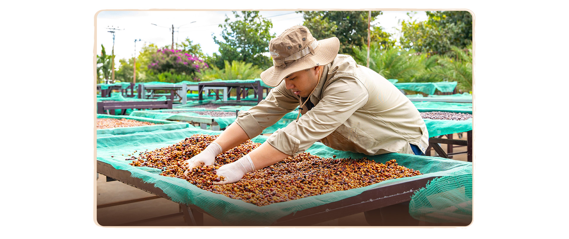 Từ nguyên liệu pha trộn đến vị thế dẫn đầu thế giới - Ảnh 12.