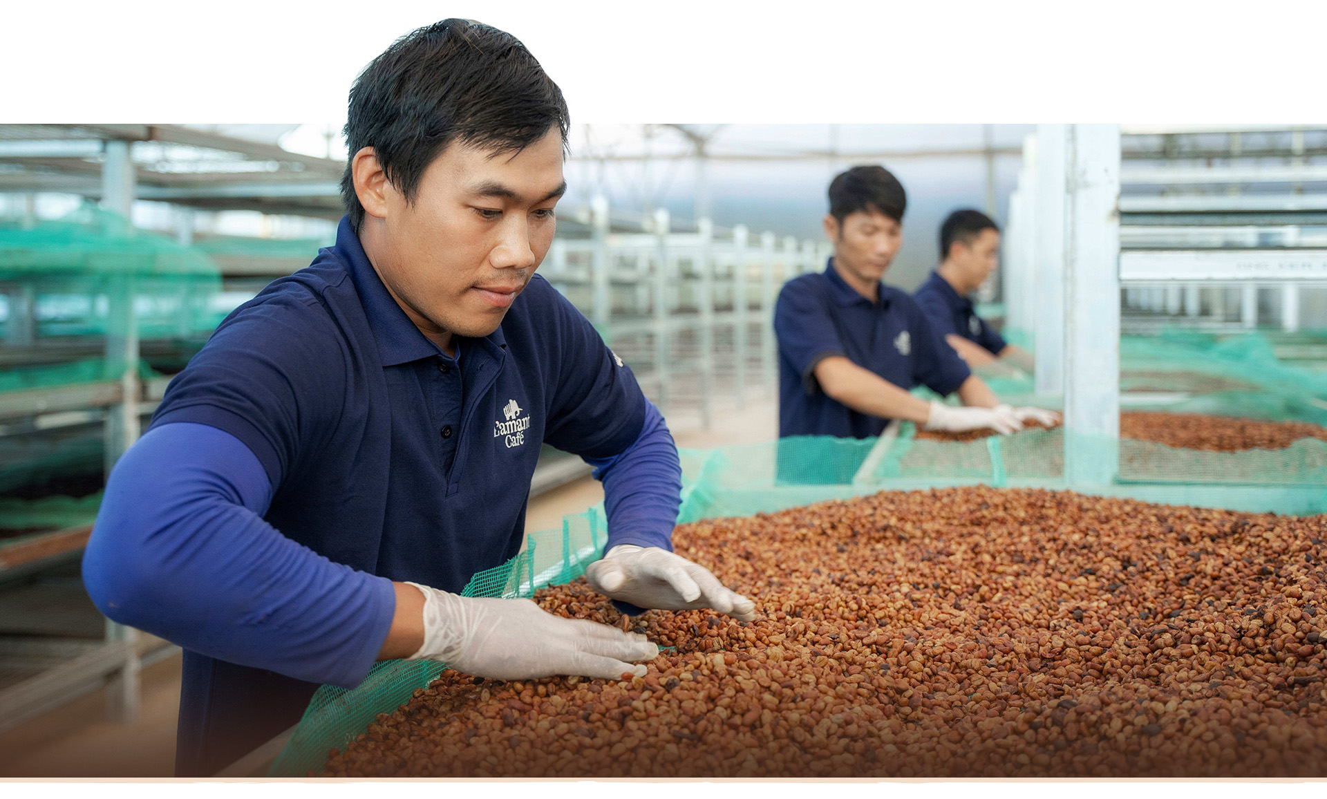 Từ nguyên liệu pha trộn đến vị thế dẫn đầu thế giới - Ảnh 17.
