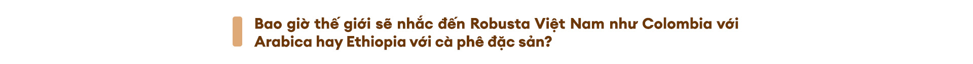 Từ nguyên liệu pha trộn đến vị thế dẫn đầu thế giới - Ảnh 11.