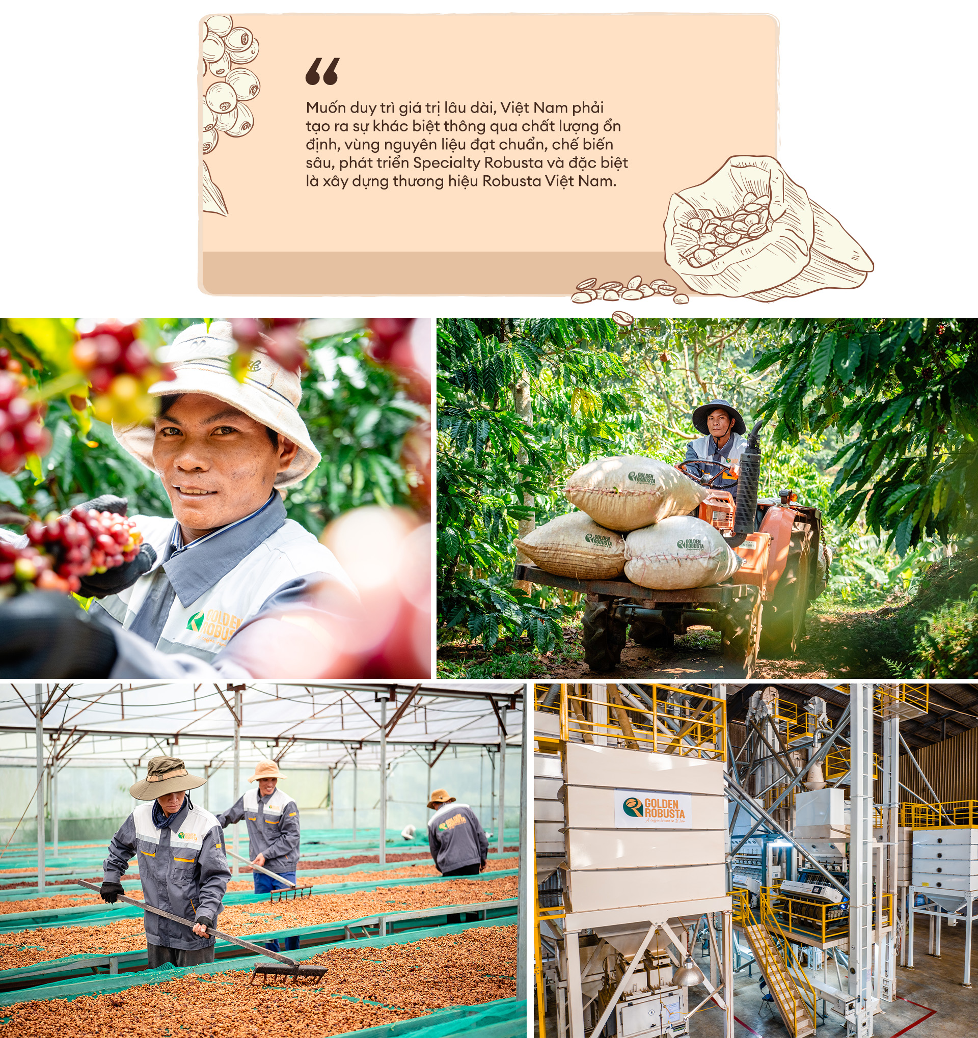 Từ nguyên liệu pha trộn đến vị thế dẫn đầu thế giới - Ảnh 8.