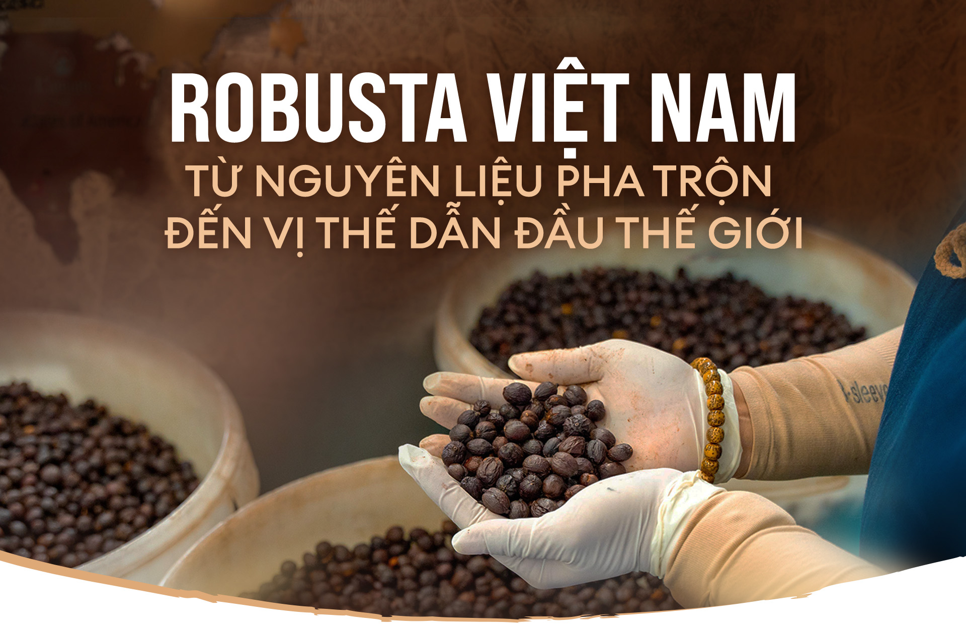 Robusta Việt Nam: Từ nguyên liệu pha trộn đến vị thế dẫn đầu thế giới