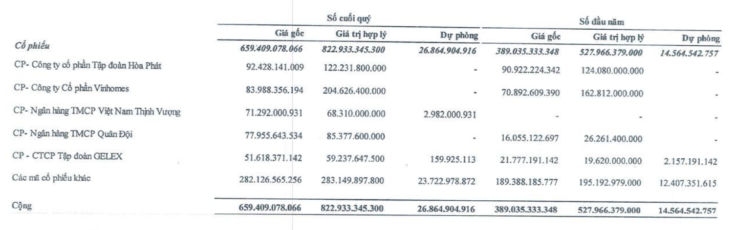 Công ty bất động sản rót 660 tỉ vào chứng khoán, tạm lãi lớn với VHM và HPG - Ảnh 2.