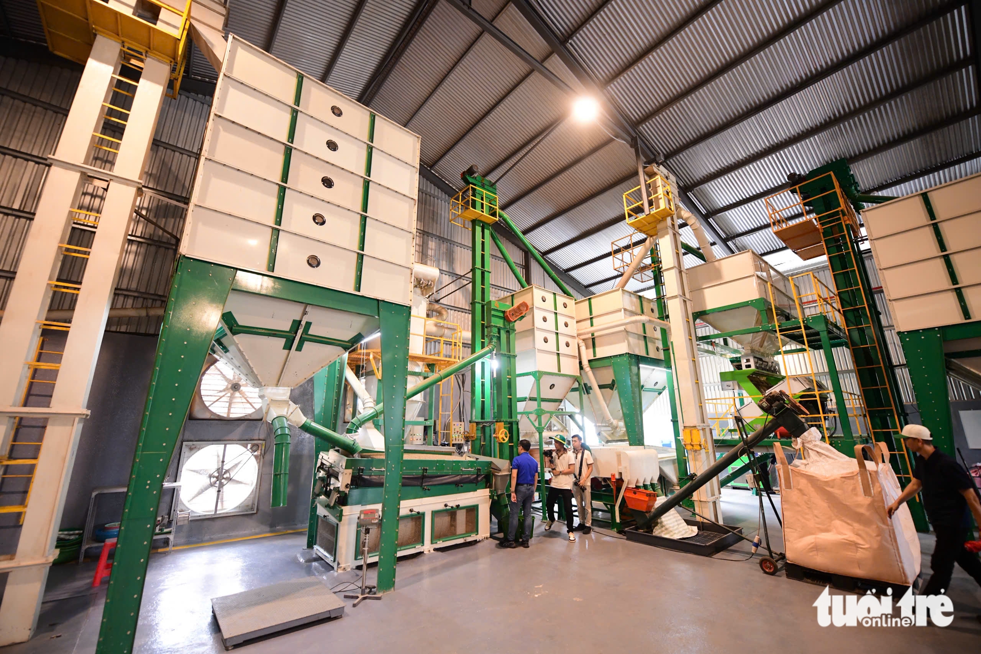 Trầm trồ với trang trại cà phê robusta trĩu quả tại Lâm Đồng - Ảnh 9.