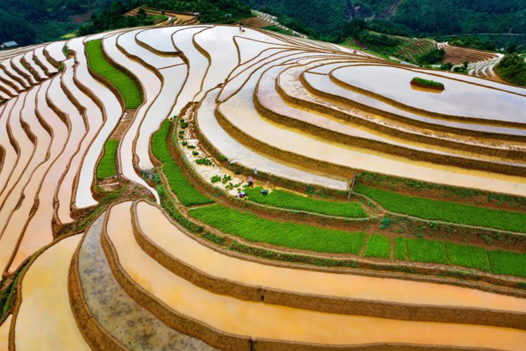 Triển lãm ảnh Con người và cuộc sống dành không gian tri ân tháng 7 - Ảnh 8.