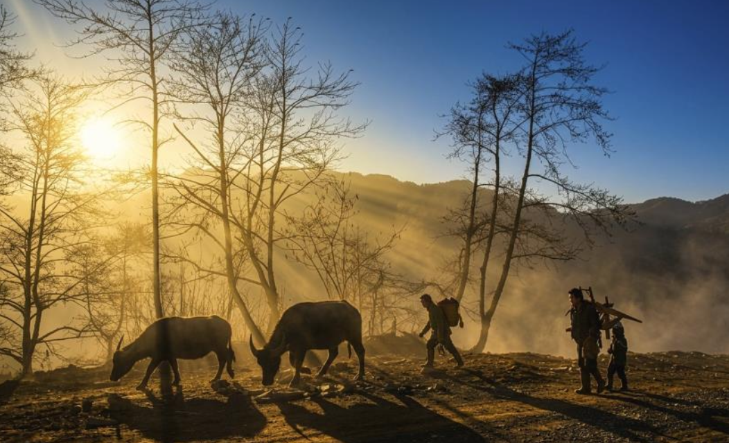 Triển lãm ảnh Con người và cuộc sống dành không gian tri ân tháng 7 - Ảnh 12.