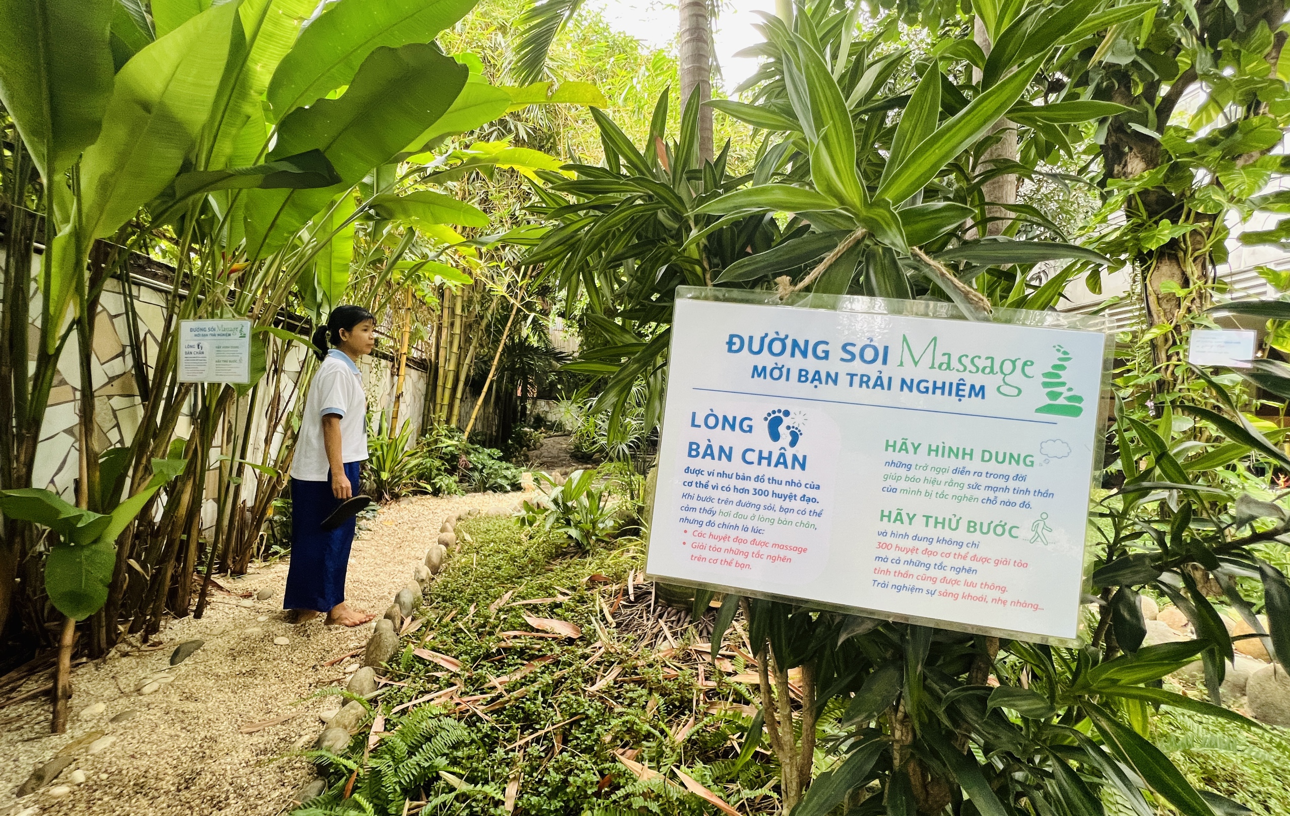 Bạn trẻ tìm đến 