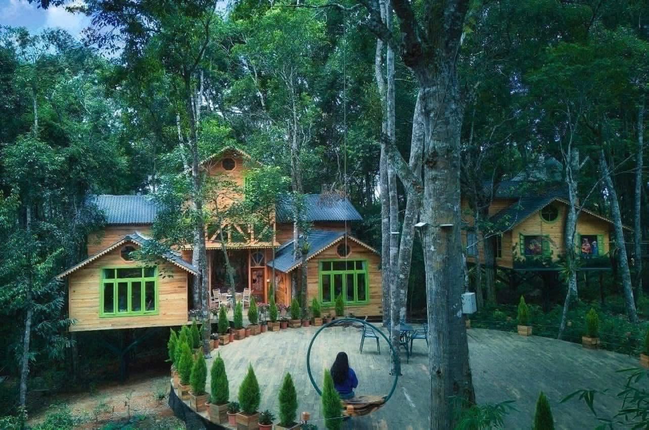 Khu nhà trên cây ở Măng Đen lọt vào đề cử Làng du lịch tốt nhất thế giới - Ảnh 8.