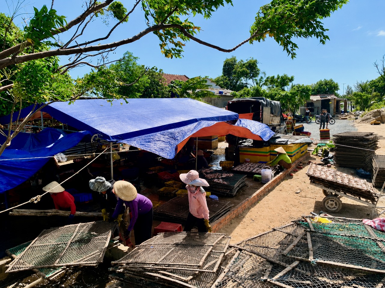 Cung đường ven biển đẹp nhất Phú Yên bị 'bức tử' bởi sơ chế mực xà - Ảnh 2.