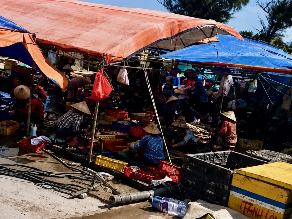 Cung đường ven biển đẹp nhất Phú Yên bị 'bức tử' bởi sơ chế mực xà - Ảnh 4.