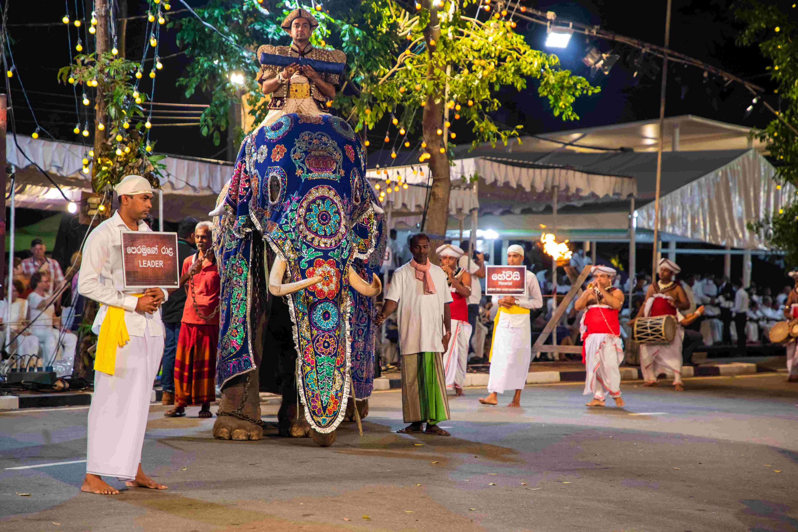 Có hẹn Sri Lanka vào tháng 8! - Ảnh 4.