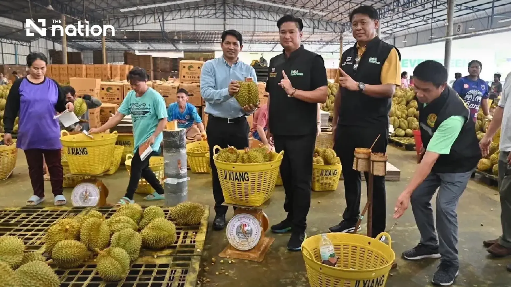 Điều gì giúp sầu riêng Thái Lan lập kỷ lục xuất khẩu sang Trung Quốc? - Ảnh 1.