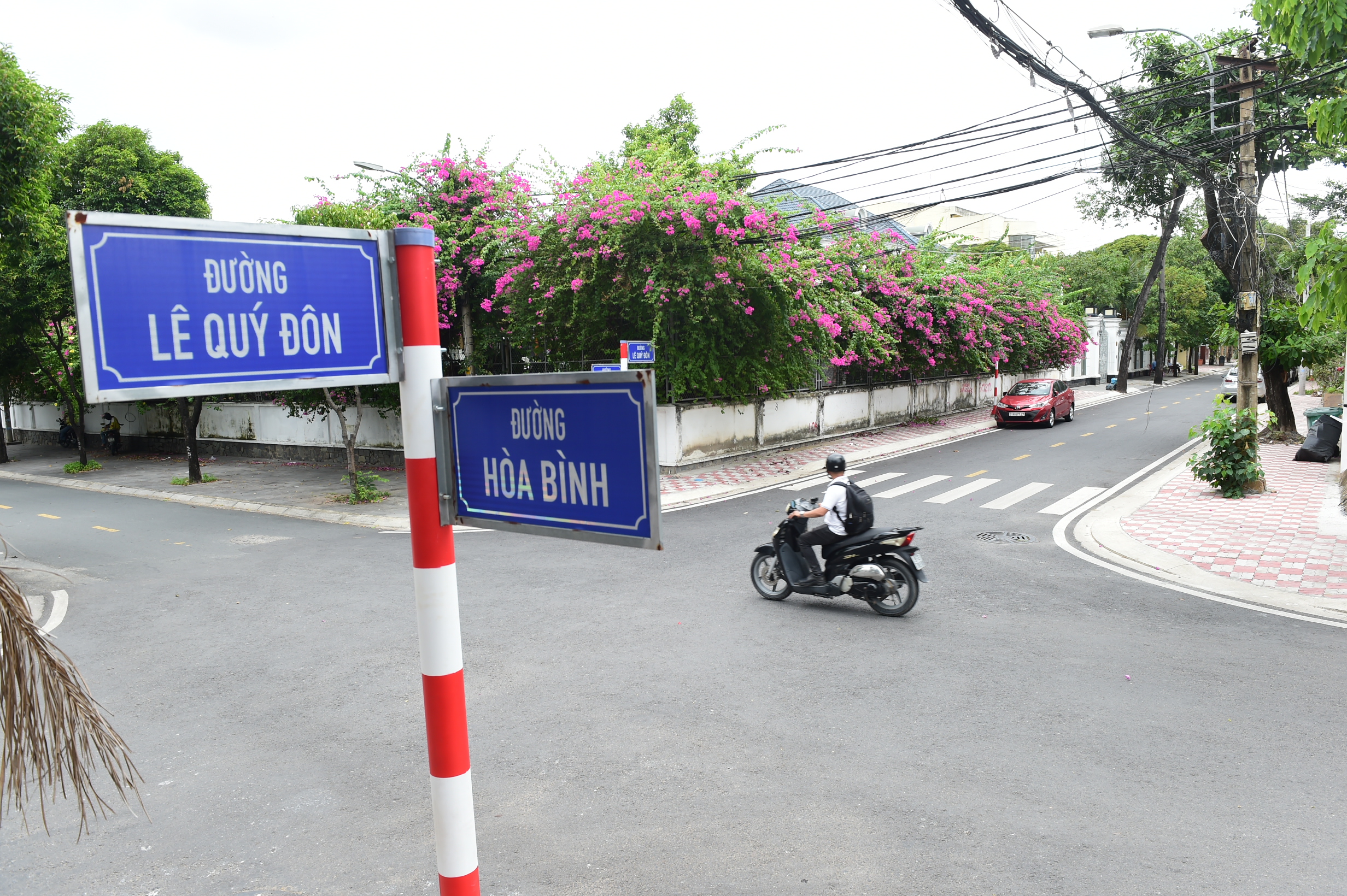 Hình bóng Lê Quý Đôn ở TP.HCM - Ảnh 4.