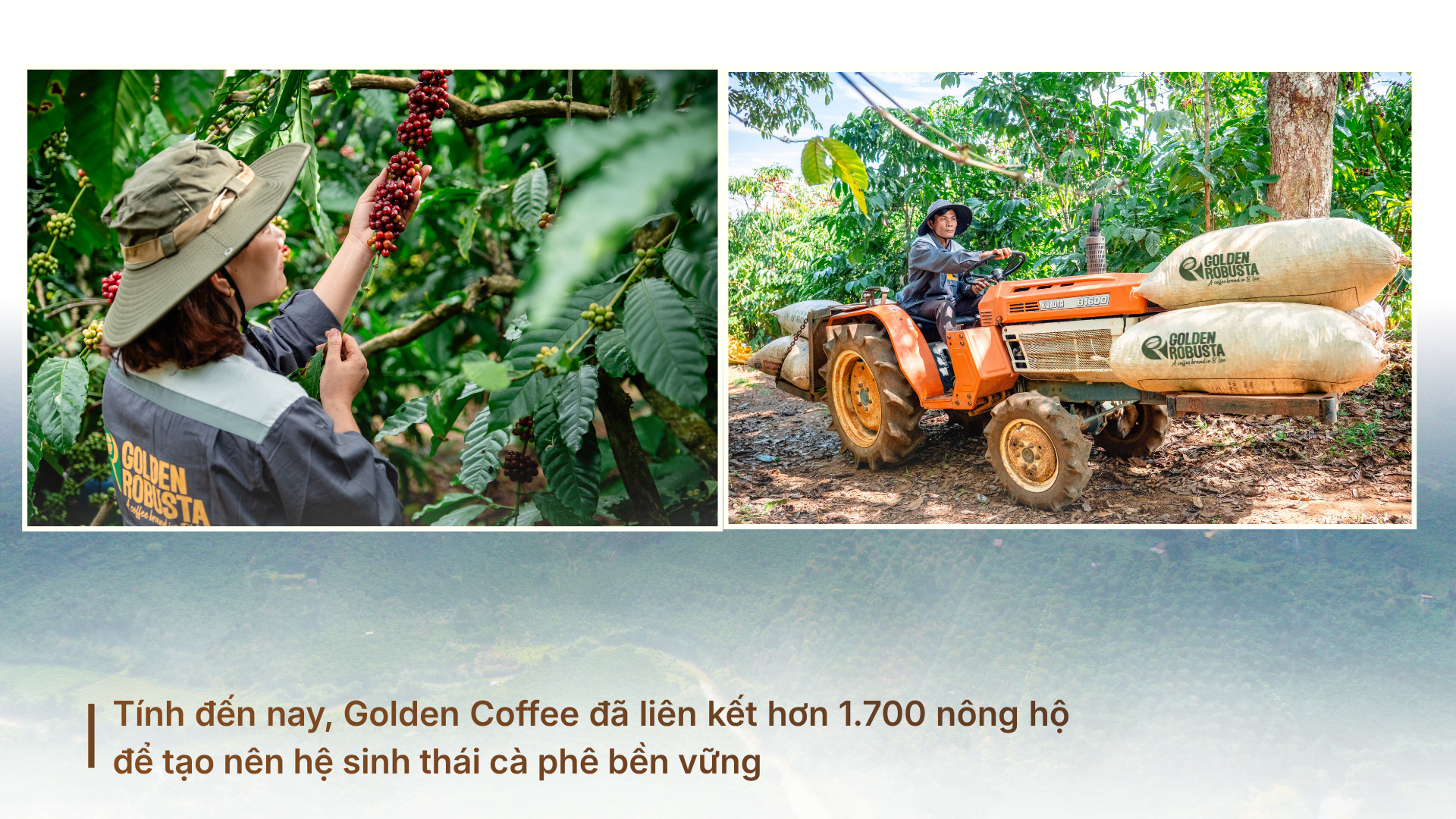 Dệt mạng lưới nông hộ, tạo chuỗi giá trị xuất khẩu khép kín - Ảnh 1.