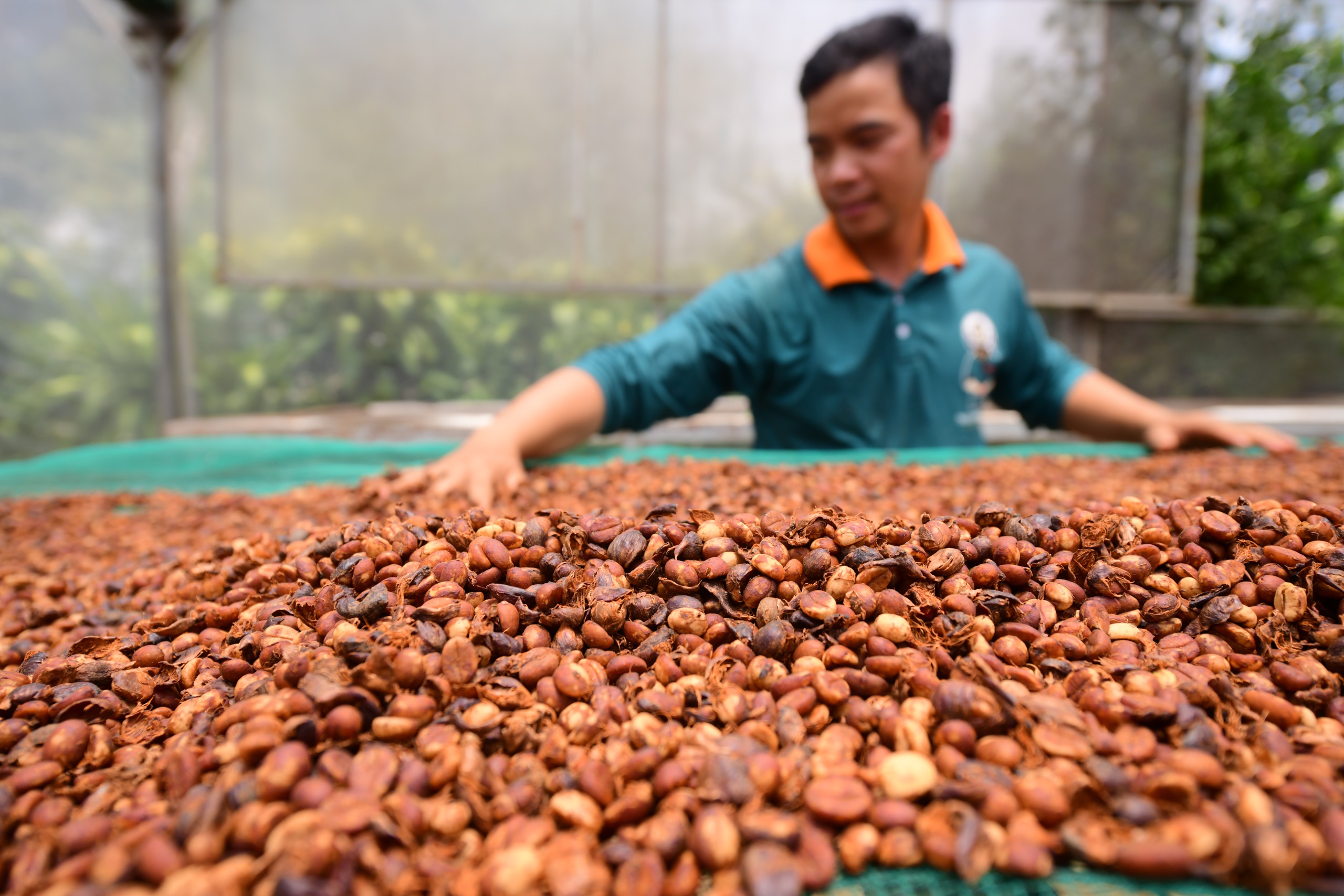 Dệt mạng lưới nông hộ, tạo chuỗi giá trị xuất khẩu khép kín - Ảnh 6.