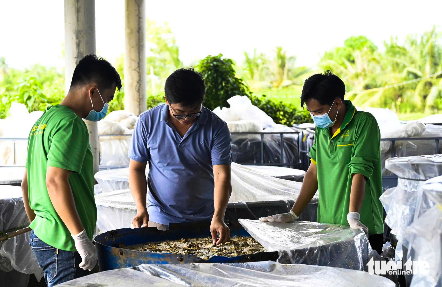 Xử lý rác thải nông thôn An Giang: Giải pháp hiệu quả từ người dân Vĩnh Phong - Ảnh 1.