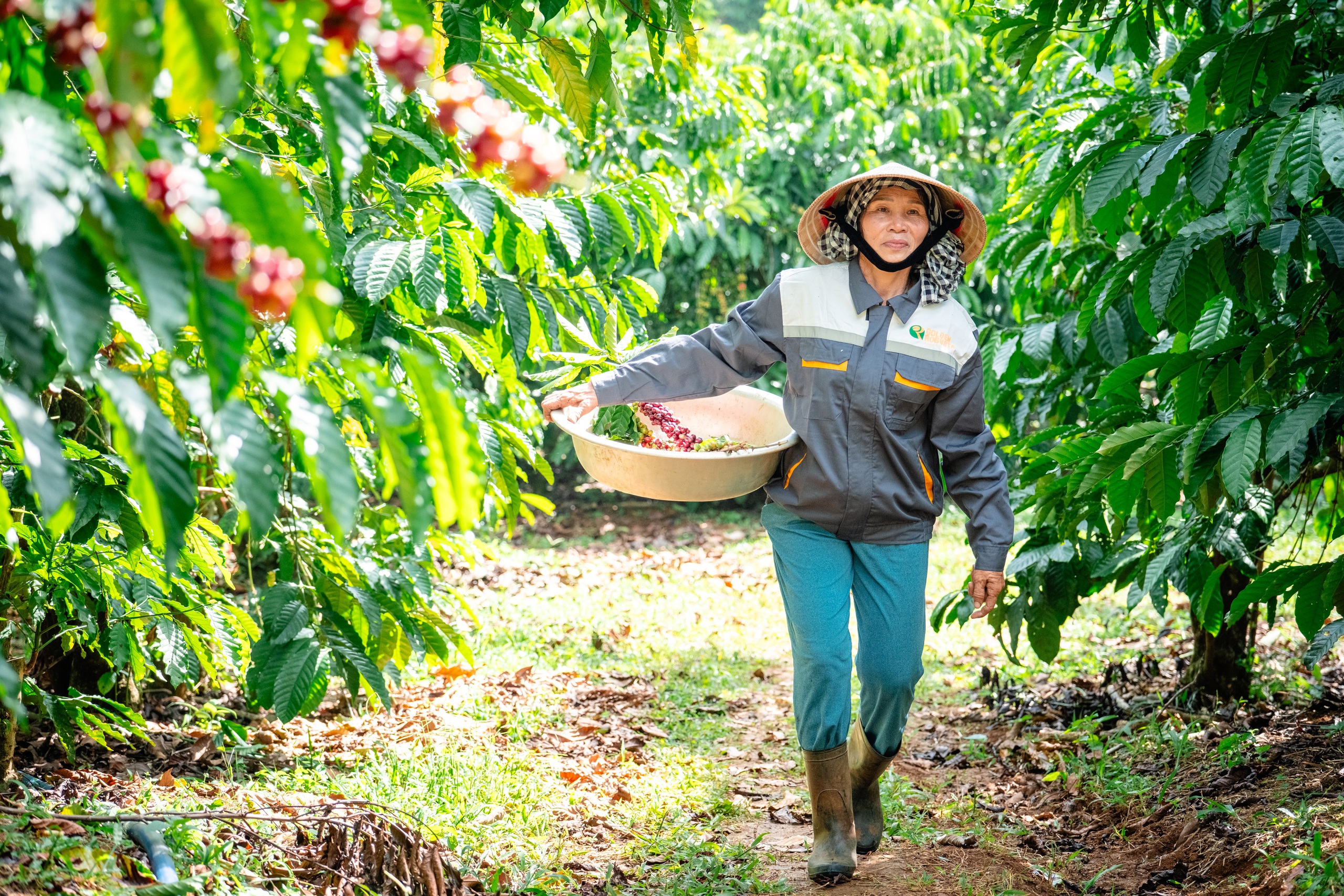 Dệt mạng lưới nông hộ, tạo chuỗi giá trị xuất khẩu khép kín - Ảnh 4.