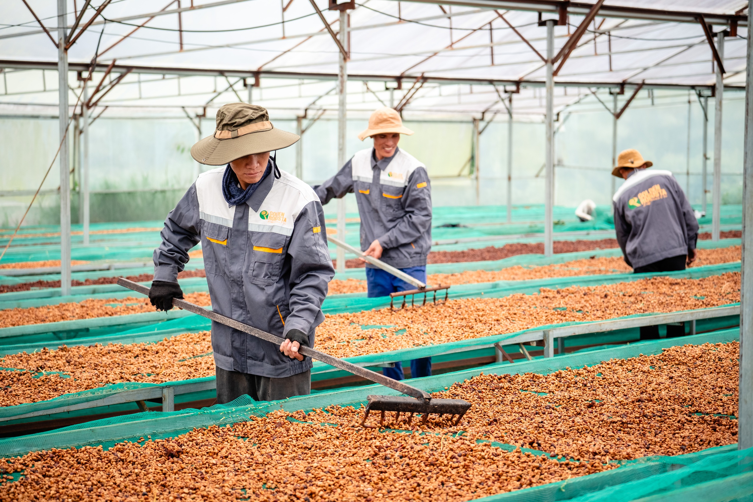 Dệt mạng lưới nông hộ, tạo chuỗi giá trị xuất khẩu khép kín - Ảnh 5.