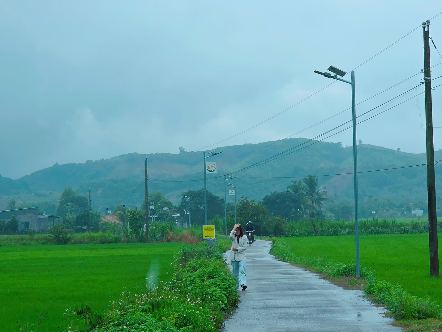 Phân bón Cà Mau khoác ‘áo mới’ cho những con đường quê - Ảnh 7.