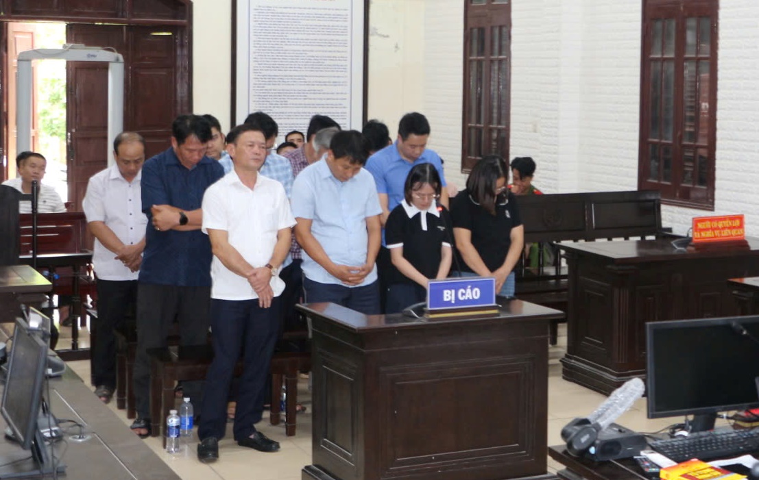 Nguyên Phó chủ tịch huyện cùng nhiều cán bộ cấp dưới lãnh án tù vì cấp đất sai - Ảnh 1.