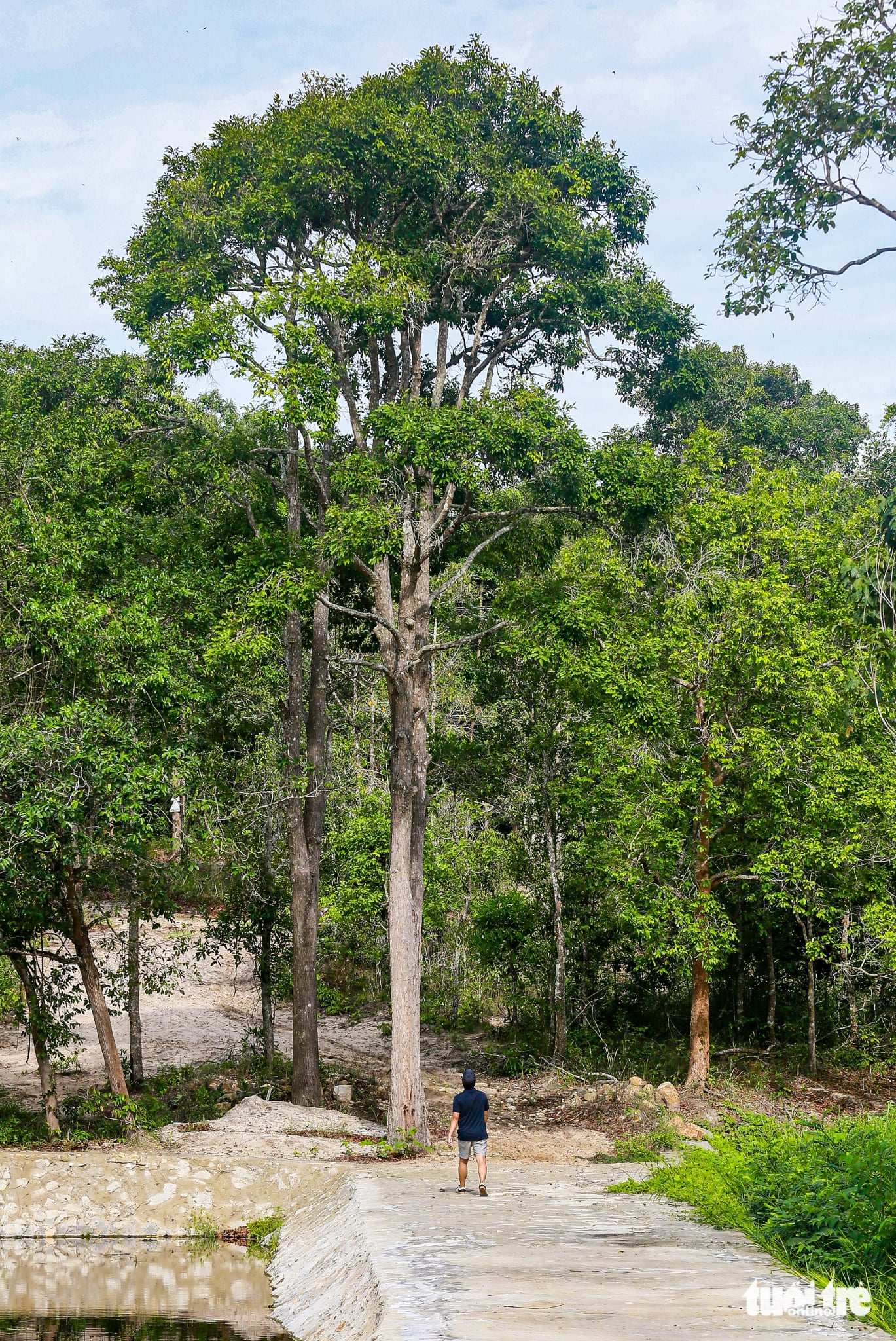 Discover 2 'green lungs' added to Ho Chi Minh City after administrative merger- Ảnh 4.