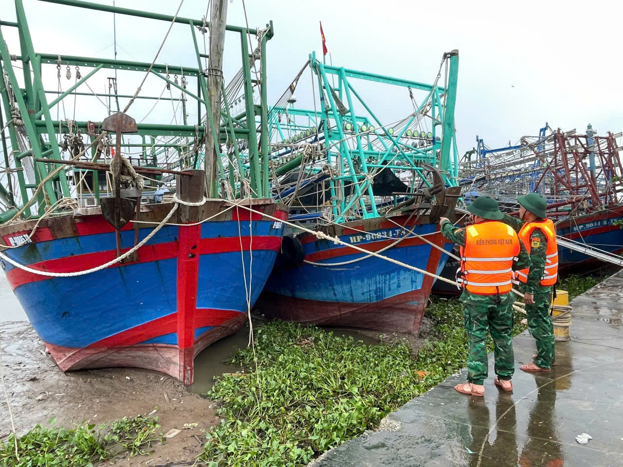 Bão số 1 Maysak gây mưa lớn và gió mạnh tại Bạch Long Vĩ ngày 4 - 7 - 2026 - Ảnh 4.