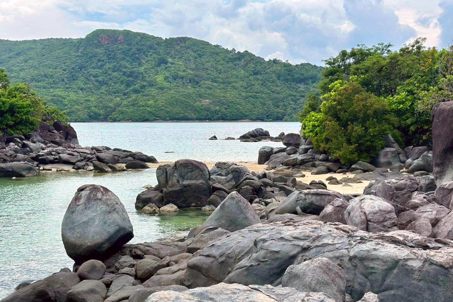 Discover 2 'green lungs' added to Ho Chi Minh City after administrative merger- Ảnh 8.