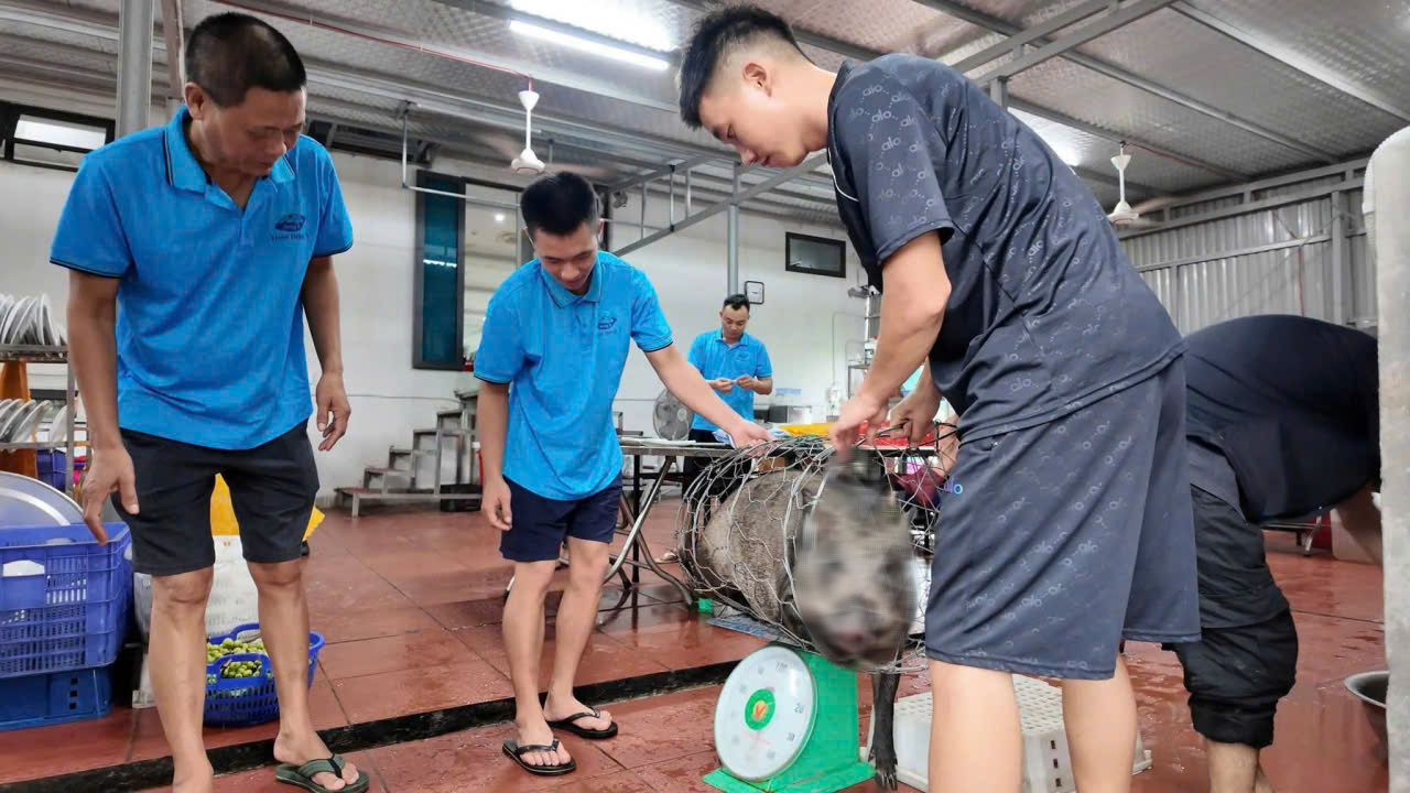 Khách sạn Đông Á chiêu đãi du khách giữa bão số 1 tại Cô Tô - Ảnh 1.