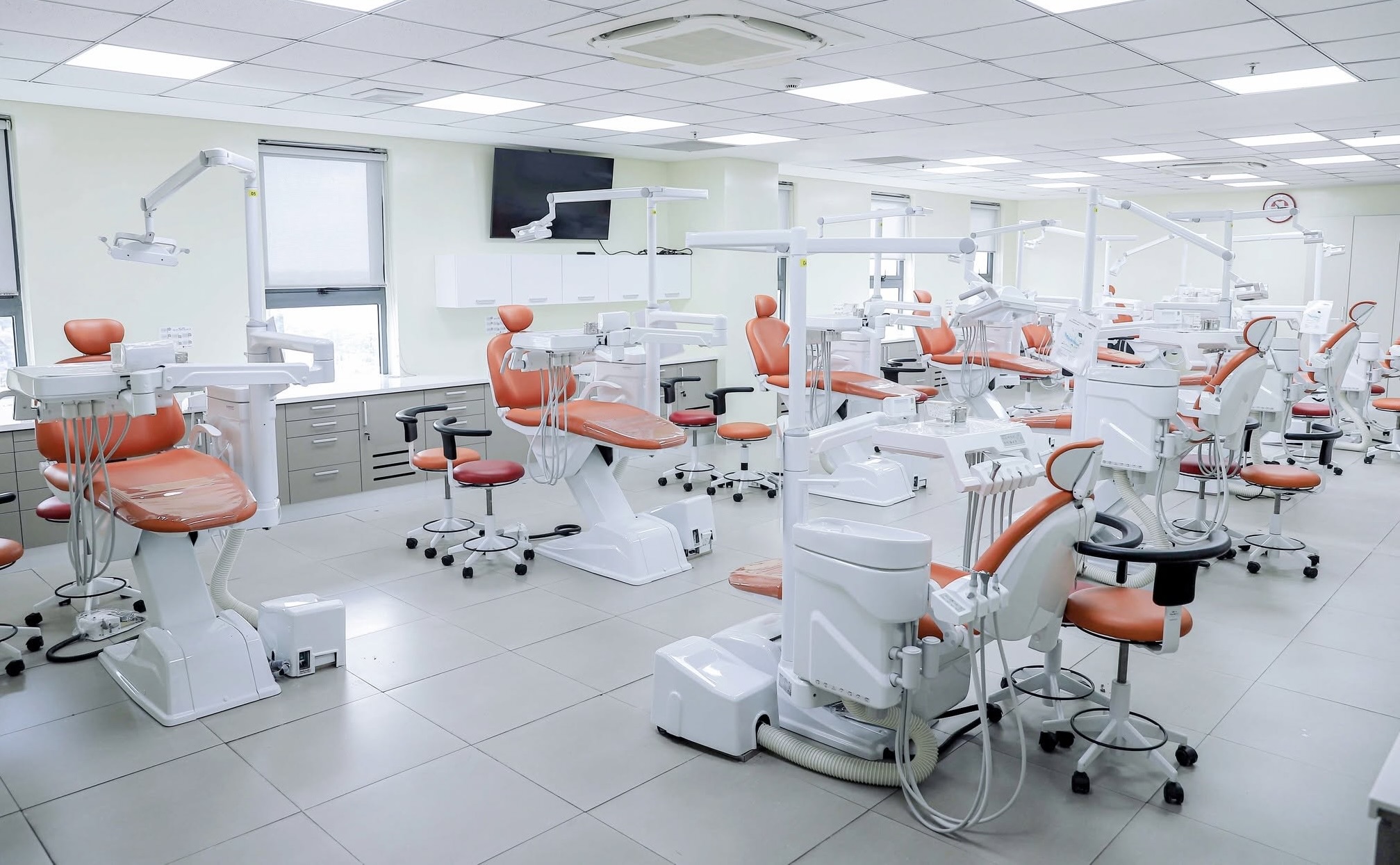 Hai trường đại học lấy điểm sàn ngành y khoa từ 20 đến 23 điểm - Ảnh 1.