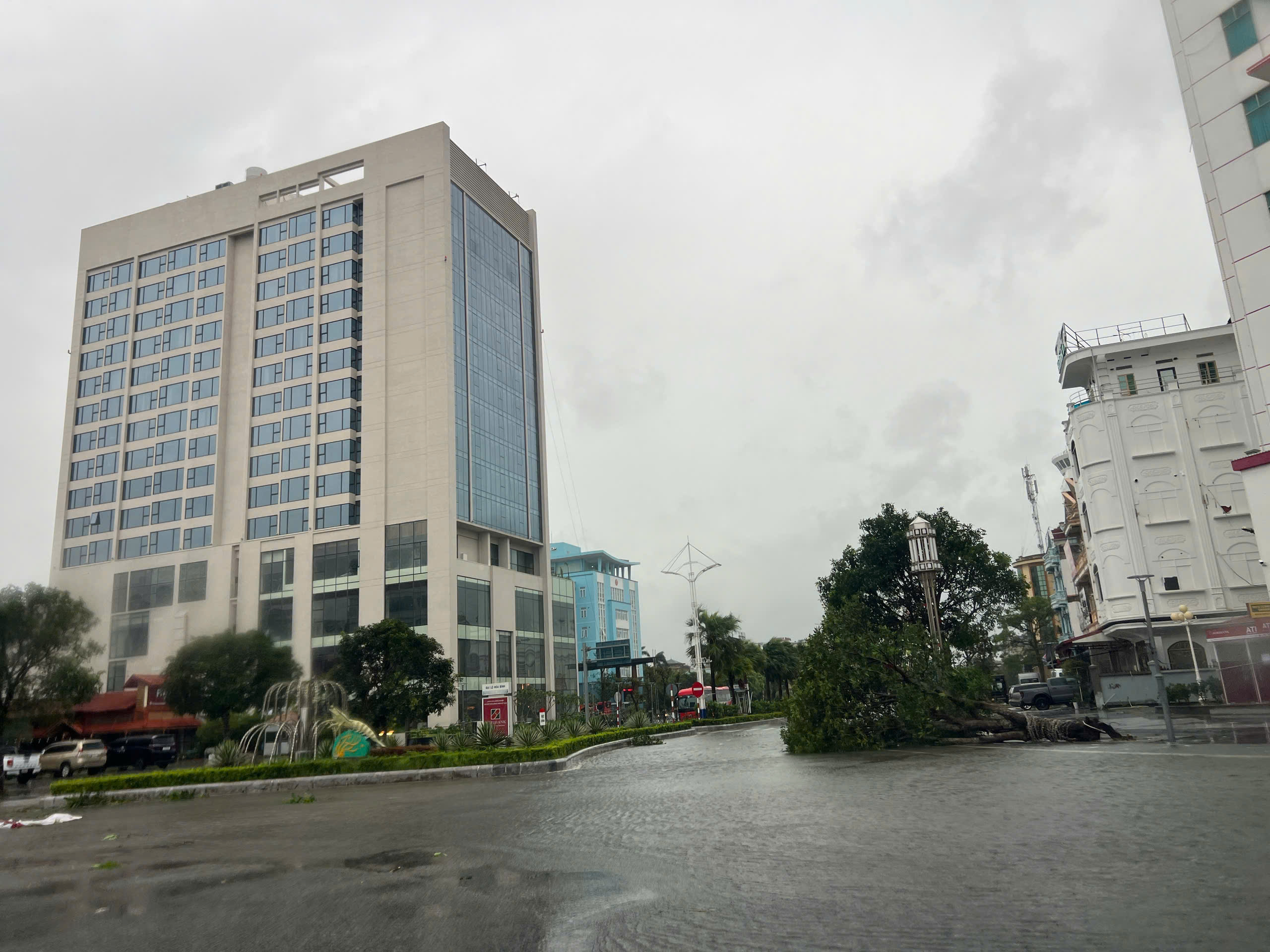 Bão số 1 quần thảo liên tục, hàng trăm cây xanh gãy đổ, hàng chục căn nhà tốc mái, người dân Móng Cái trắng đêm chống bão - Ảnh 9.