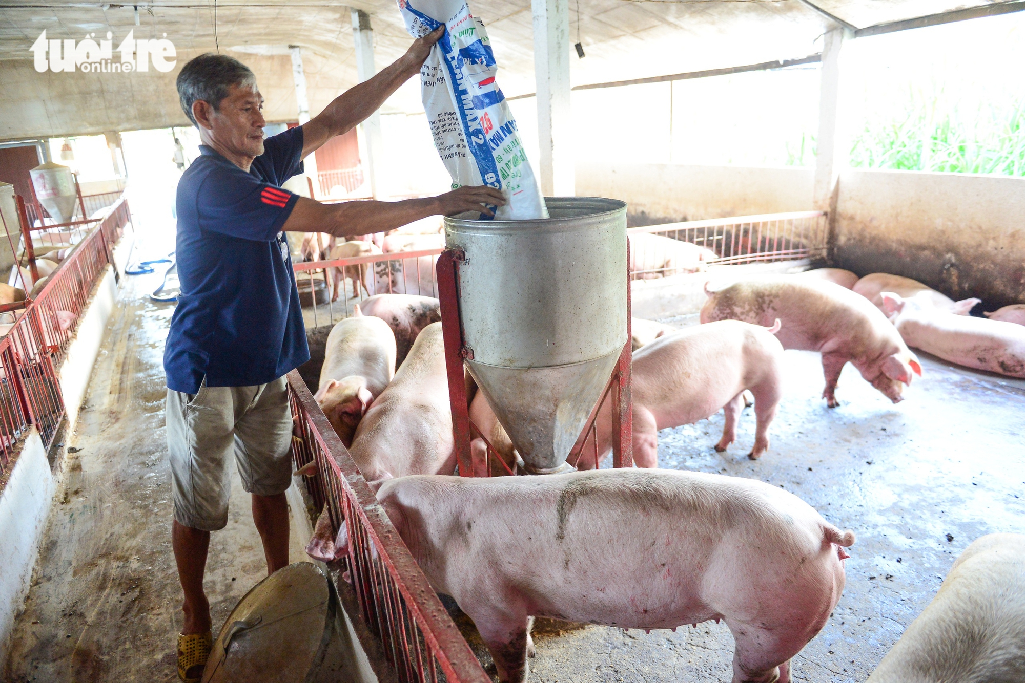 Khi nông nghiệp trở thành khát vọng của thế hệ mới - Ảnh 3.