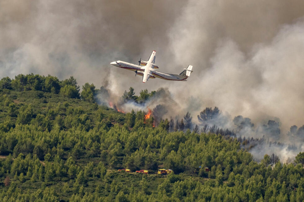 Thousands flee raging wildfires in southern Europe - Ảnh 3.