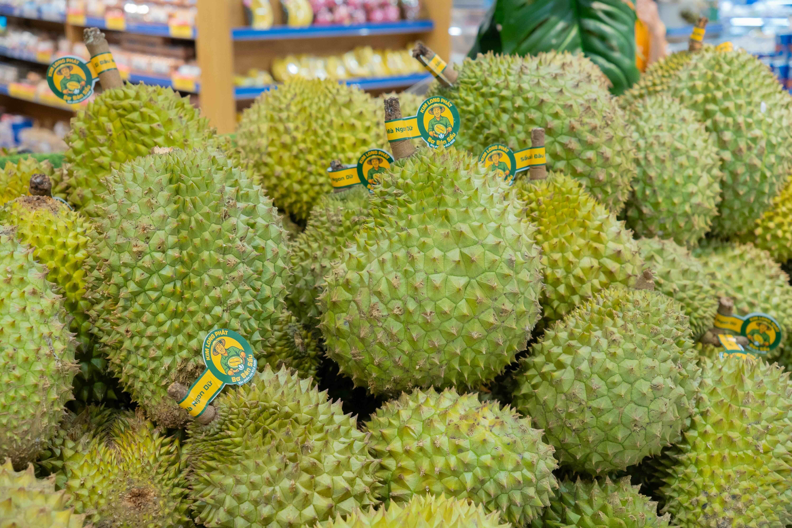 Nông nghiệp Việt Nam: Muốn vươn toàn cầu phải làm lớn ngay từ đầu - Ảnh 3.
