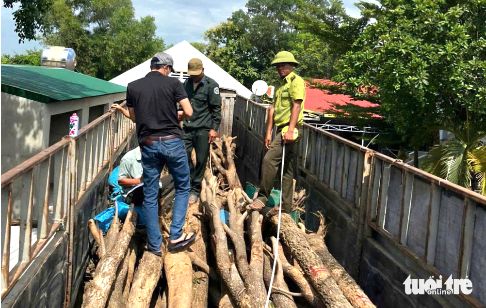 Hơn 52.000ha đất rừng biên giới Đắk Lắk chờ phương án sử dụng - Ảnh 2.